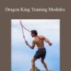 Rokas – Dragon King Training Modules