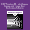 Ron Alexander – IC11 Workshop 11 – Mindfulness, Trauma, and Trance: Brief Ericksonian Solutions
