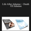 Scott “Nada-Guru” Boulch – Life After Adsense + Death Of Adsense