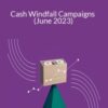 Sean Anthony – Cash Windfall Campaigns (June 2023)