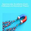Spectacular Smith – Spectacular Academy (Gain Followers & Monetize Them)