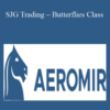 Steve Ganz – SJG Trading – Butterflies Class