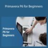 Stone River Elearning – Primavera P6 for Beginners