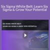 Stone River Elearning – Six Sigma White Belt: Learn Six Sigma & Grow Your Potential