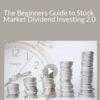 Stone River Elearning – The Beginners Guide to Stock Market Dividend Investing 2.0