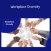 Stone River Elearning – Workplace Diversity