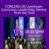 Sue Morter – CONLEAD-20-Livestream Conscious Leadership; Service from the Soul