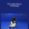 The Collar Sleeve Anthology – Dan Lukehart