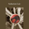 Thundercat – Seduction Lair