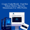 Todd Spears – Crypto UnderWorld – Find Hot Tokens Before They Go Mainstream For 100x Profits