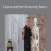 Tom Myers – Fascia and the Anatomy Trains