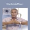 Tom Myers – How Fascia Moves