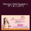 V.A – Thriving Child Summit 2, Pt. 1 & 2 (2017)
