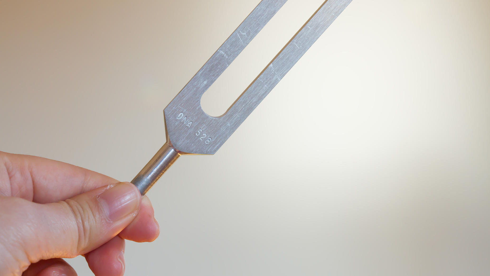 pyac4uircohj5mdiqjtg forks - eSys[GroupBuy]