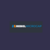 Rebel MicroCap Program - Sean Donahue